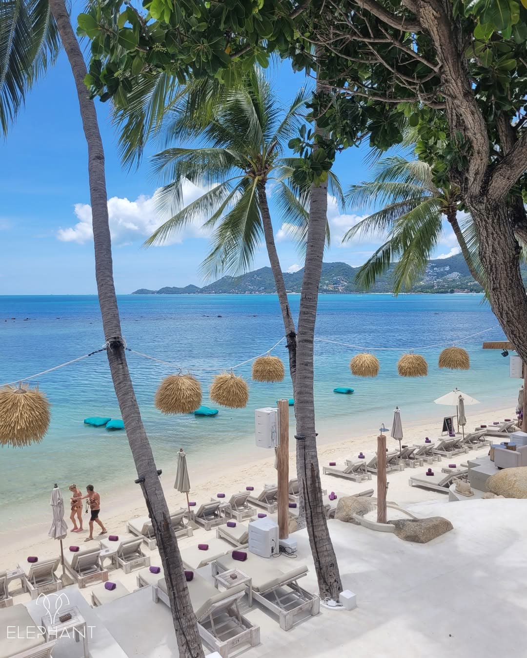 The beach seen from the rooftop at Elephant Beach Club: sunbeds under the palms and the turquoise water of Chaweng Bay, Koh Samui