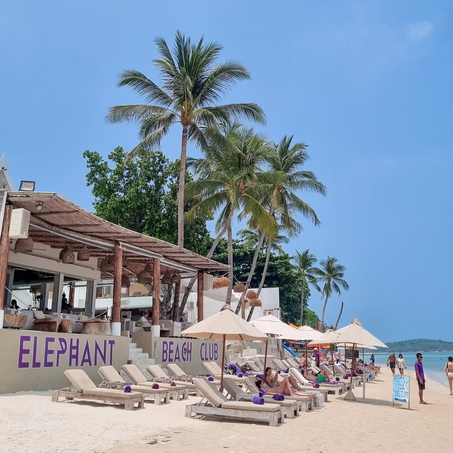 Rows of sunbeds and cream parasols on the white sand in front of the Elephant Beach Club sign, palms and the turquoise sea beyond, Chaweng Beach