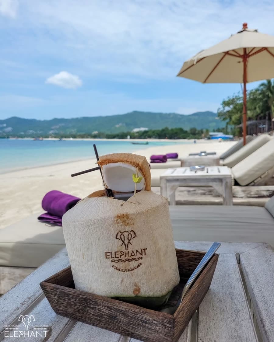 A fresh coconut branded Elephant, served on a wooden tray by the sunbeds facing Chaweng Bay, Koh Samui