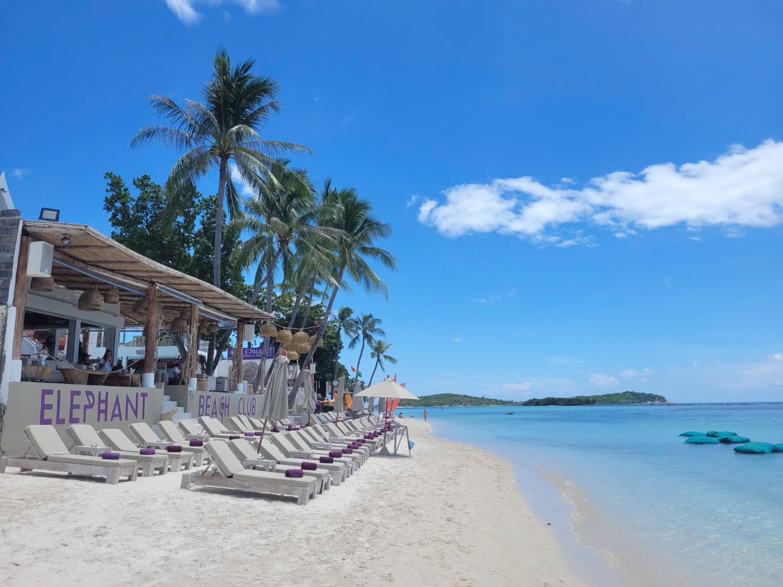 Parasols and sunbeds by the sea at Elephant Beach Club