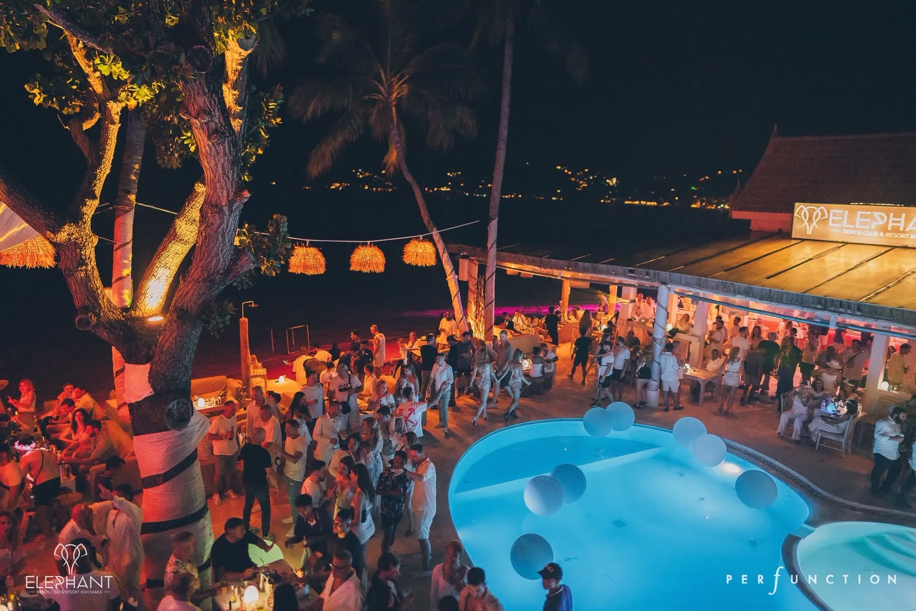 The pool lit up at night with the crowd around it and the big tree floodlit from below at Elephant Beach Club