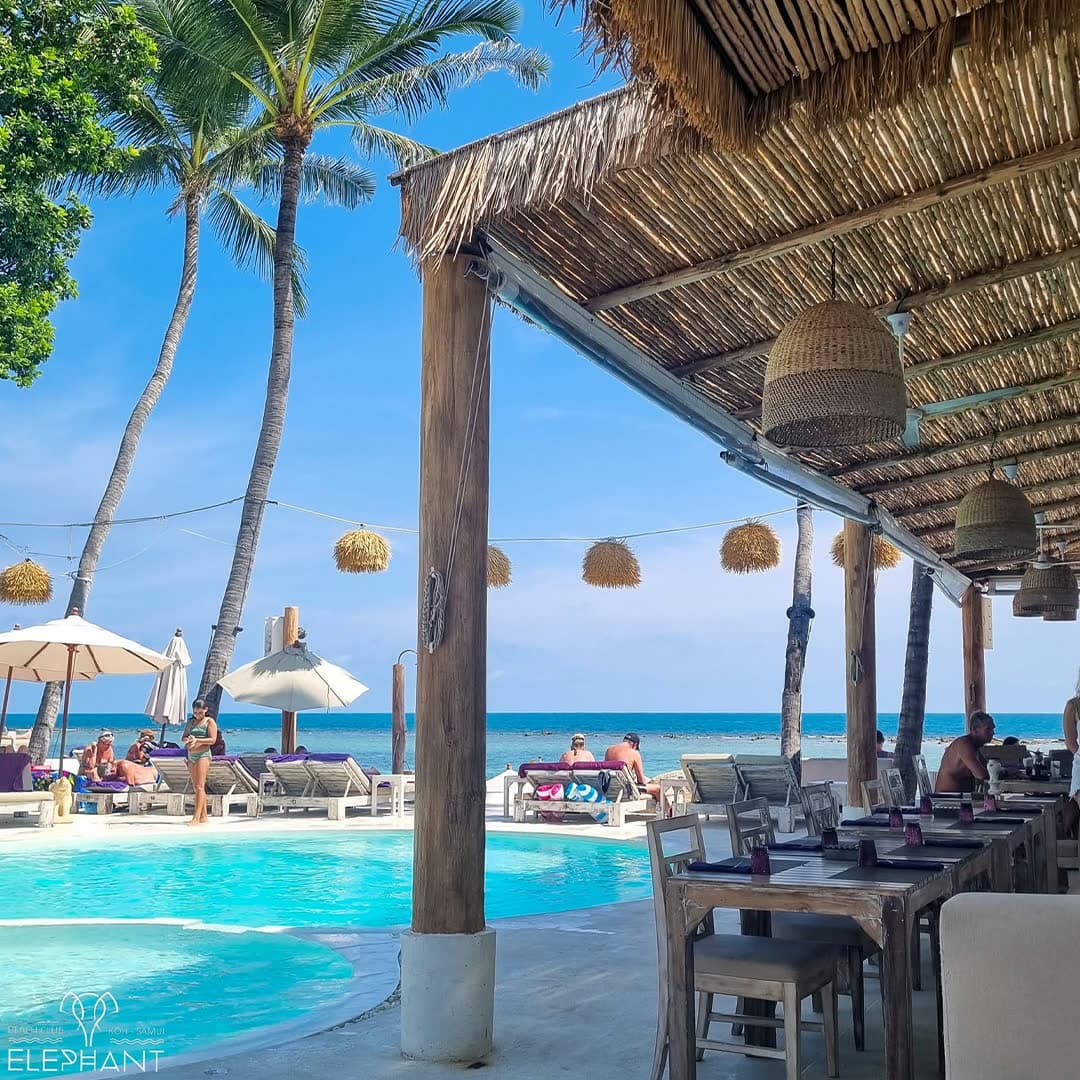 The restaurant terrace beside the pool, thatched roof and straw pendants, palms and sunbeds along the shoreline at Elephant, Koh Samui