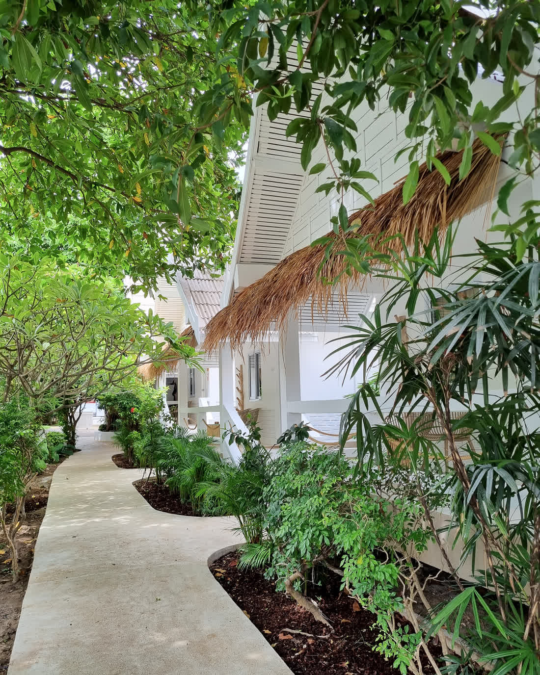 White thatched-roof facade and garden path leading to the porch of the Robinson Bungalow, Chaweng Beach